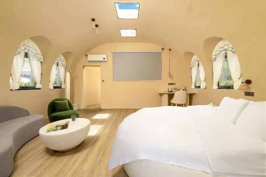 Dome suite interior with twin skylights, arch windows, and projector wall