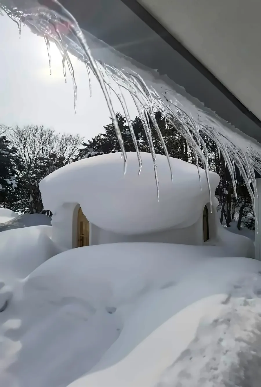 EPS dome carrying deep standing snow, framed by icicles